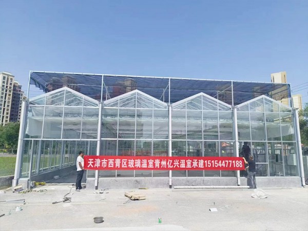 天津市西青區(qū)玻璃溫室