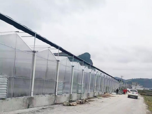 溫室大棚為什么要選用PC陽(yáng)光板做覆蓋材料？